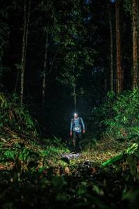 BIB: 
                            <button type="button" onclick="openModal(26207475)" class="btn btn-primary btn-sm float-right btn-popup" data-toggle="modal" data-target=".modal-high-quality">
                        <i class="fas fa-shopping-cart"></i> Add to Cart
                    </button>
                                            <button type="button" onclick="isThisMe(26207475, true)" class="btn btn-success btn-sm float-right btn-popup btn-isme hidden" data-toggle="tooltip" data-placement="bottom" title="นี่คือรูปของคุณใช่ไหม คลิกที่นี่เพื่อเอาเข้าอัลบั้ม">
                        <i class="fas fa-plus"></i> Add to album
                    </button>
                    <button type="button" onclick="isThisMe(26207475, false)" class="btn btn-warning btn-sm float-right btn-popup btn-isnotme hidden">
                        <i class="fas fa-ban"></i> Remove from album
                    </button>